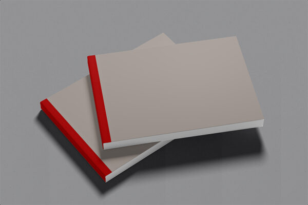 ABBREVIATED COMBINED DAILY WEAPONS & AMMUNITION REGISTER